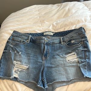 Torrid Distressed Denim  Shorts